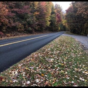 Meet your Posher, Bailey